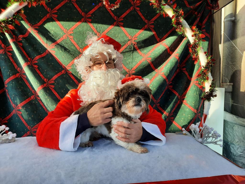 les toutous  de Nol 1/3